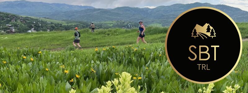 SBT TRL banner 01